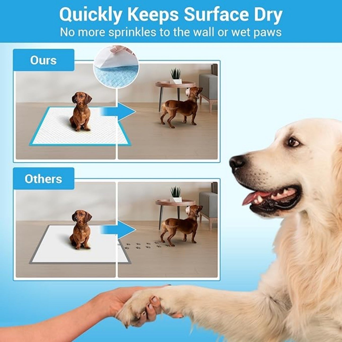 Dog mat, puppy mat, 24 inches x 18 inches, for pet training, thickened Pee mat for dogs, super absorbent dog Pee mat (50 pieces)