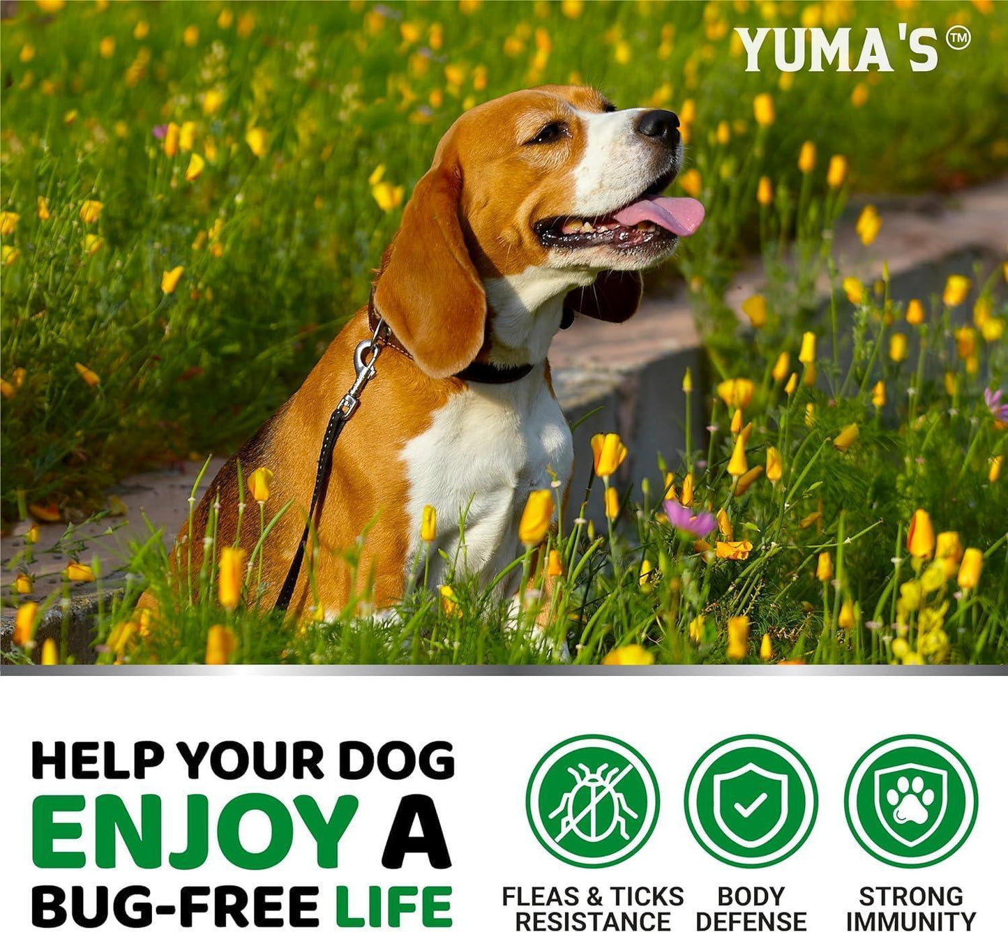 2 Pack Flea and Tick Prevention for Dogs Chewables Natural Dog Flea and Tick Treatment Chewable Flea and Tick Chews for Dogs Soft Oral Flea Pills for Dogs All Breeds & Ages Made in USA