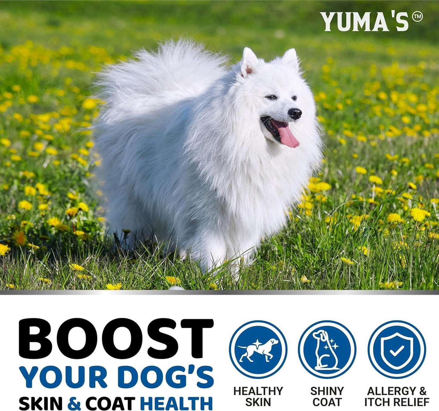 2 Pack Omega 3 Fish Oil for Dogs Skin and Coat Supplement Dry & Itchy Skin Relief Treatment Allergy Support Dog Anti Shedding Treats Shiny Coats EPA & DHA Salmon