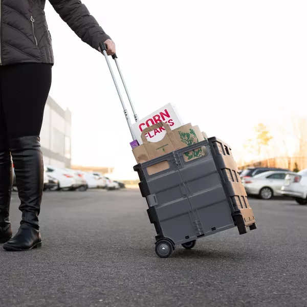 Portable Folding Jumbo Shopping Cart